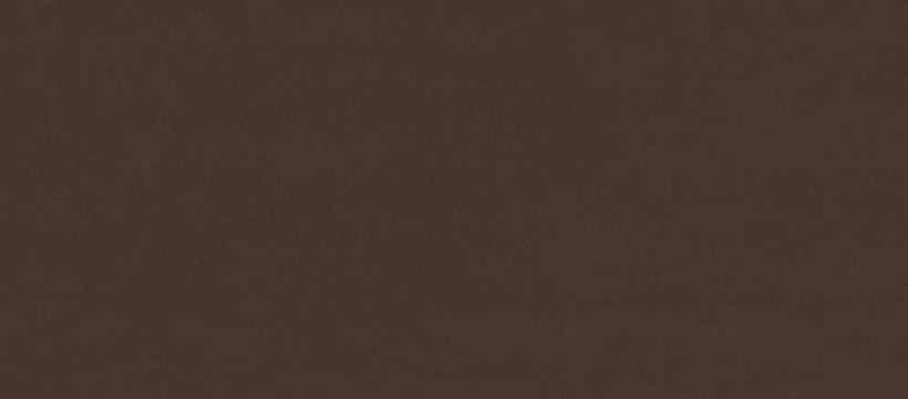 2206 Mocha brown